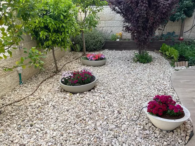 תכנון והקמת גינה כולל תחזוקה